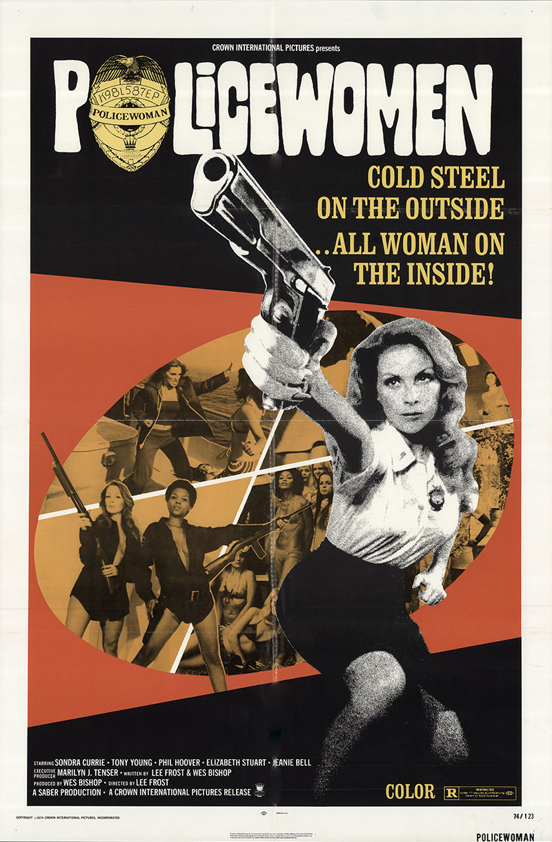 Policewomen movie poster