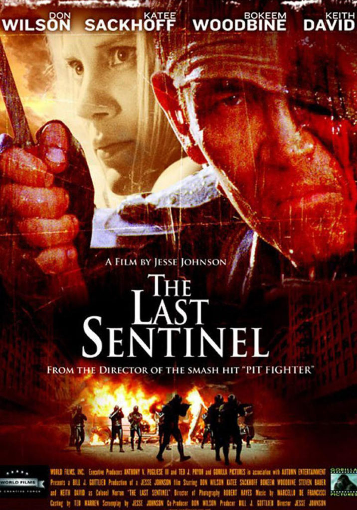 The Last Sentinel 2007 box art